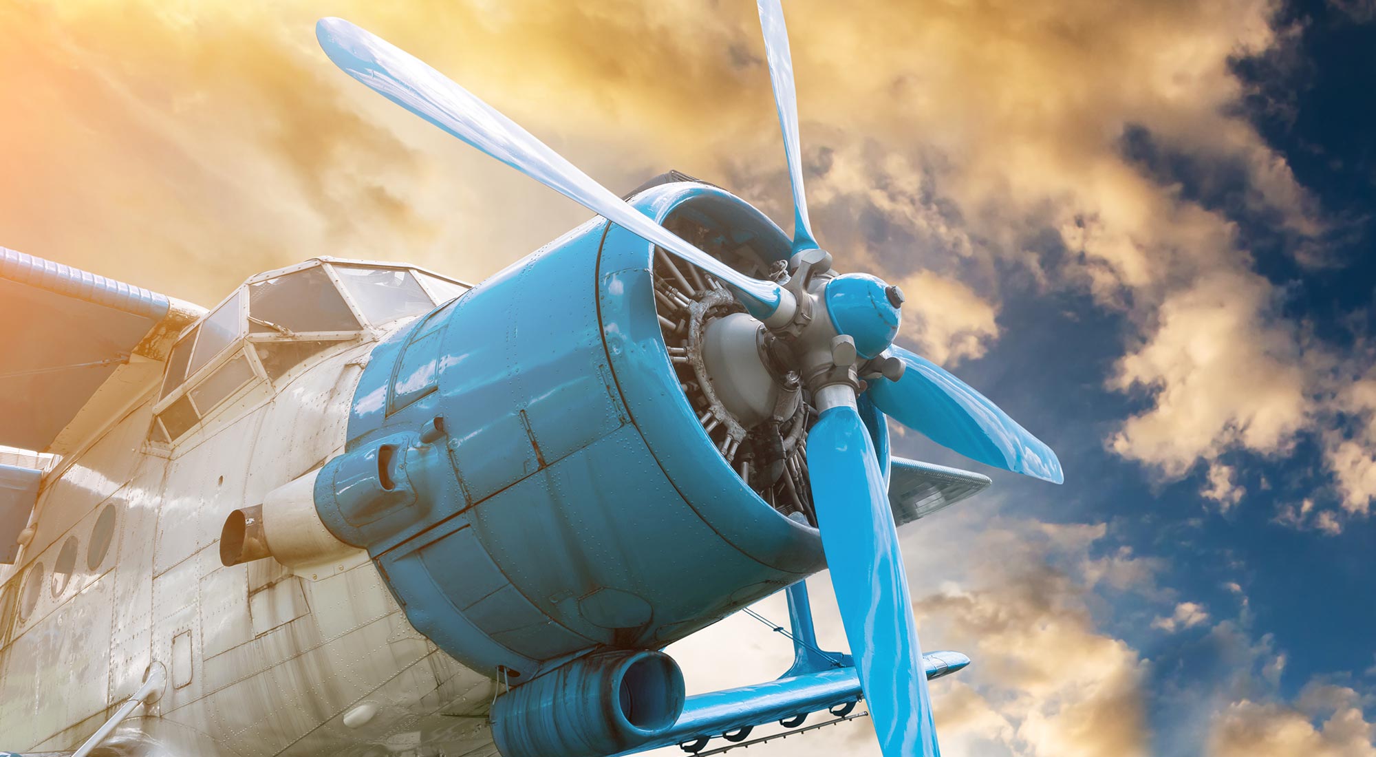 Wings and Wheels Alexandra Blossom Festival 2018