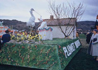 Alexandra Blossom Festival 1958 Plunket Stalk and Baby Float